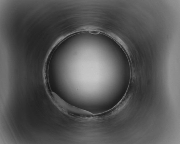 X0000100500997200806131433