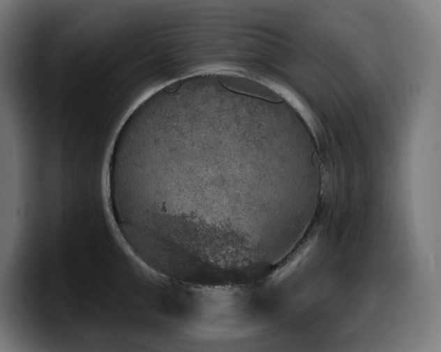 X0000100500999200806131433