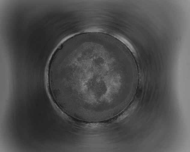 X0000100501000200806131433