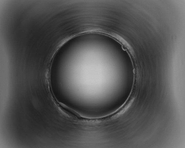 X0000100501001200806131433