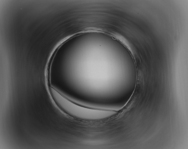 X0000100501003200806131433