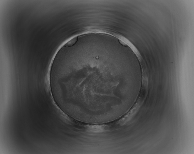 X0000100501004200806131432