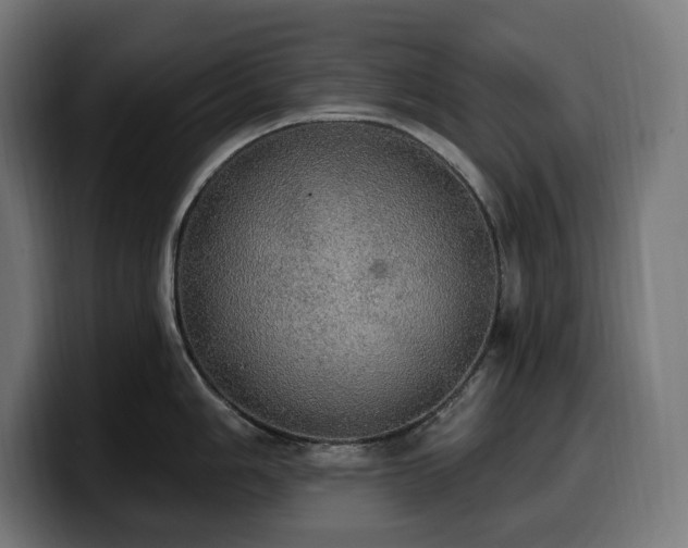 X0000100501006200806131432