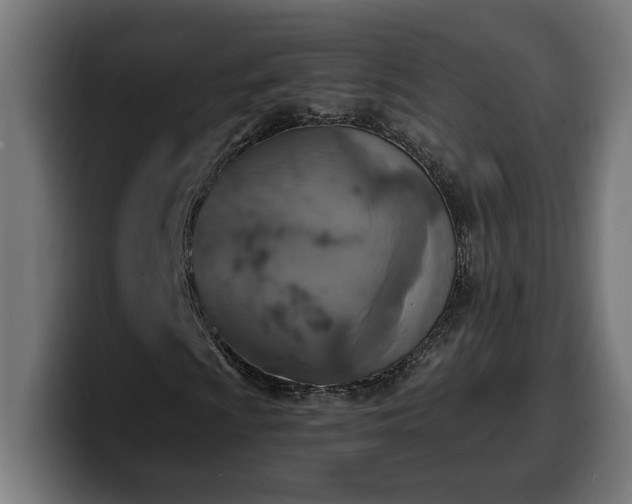 X0000100501009200806131432