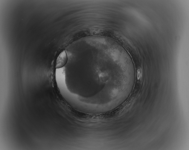 X0000100501011200806131432