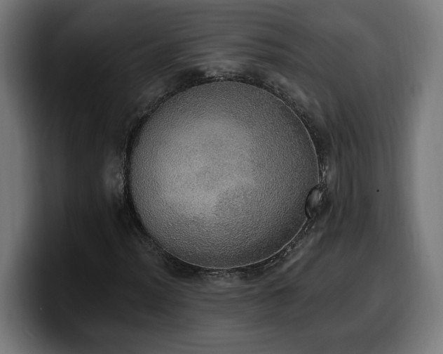 X0000100501012200806131432