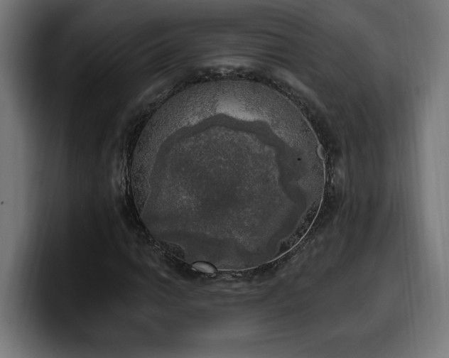 X0000100501014200806131432