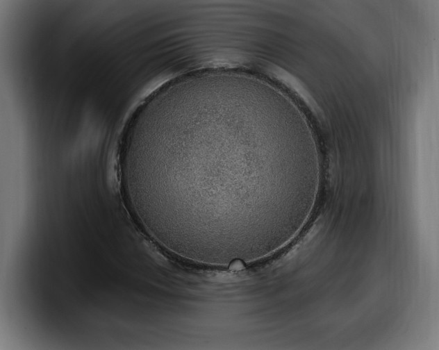 X0000100501018200806131432