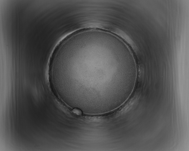 X0000100501020200806131432