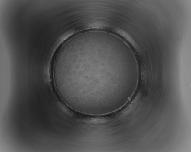 X0000100501026200806131432