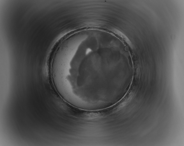 X0000100501027200806131432