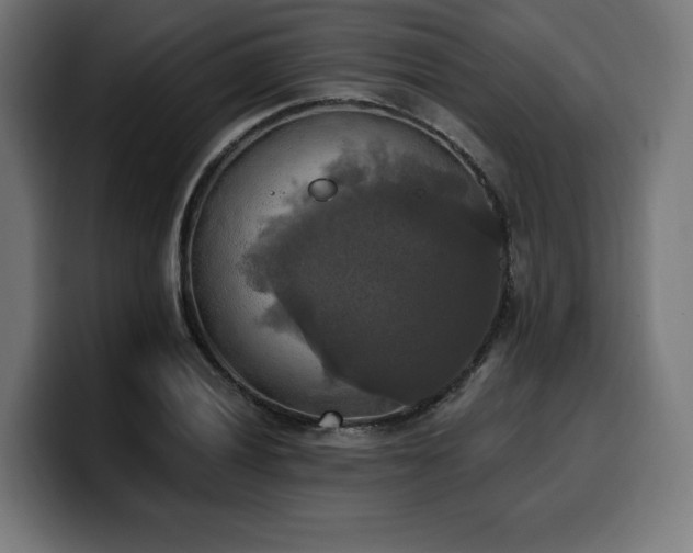 X0000100501028200806131432