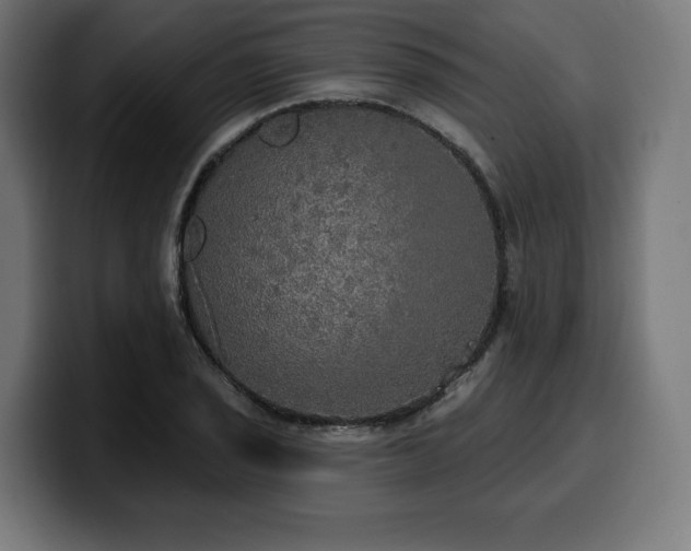 X0000100501029200806131432