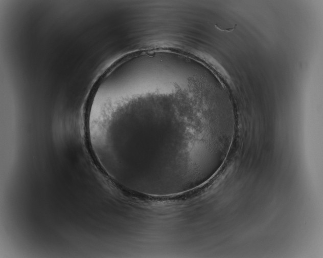 X0000100501031200806131432