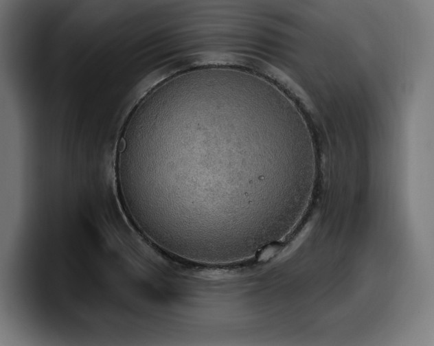 X0000100501033200806131432