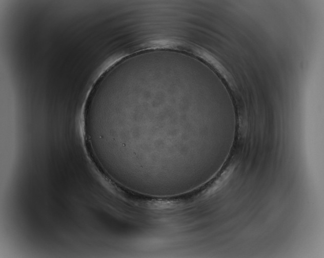 X0000100501034200806131432