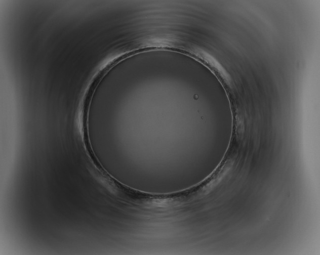 X0000100501035200806131432