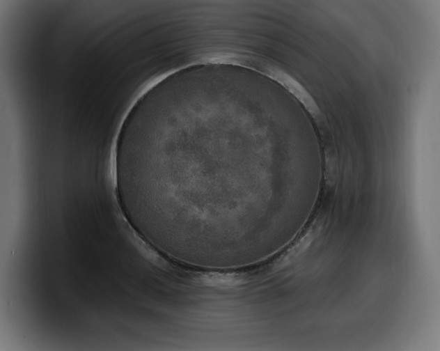 X0000100501036200806131432