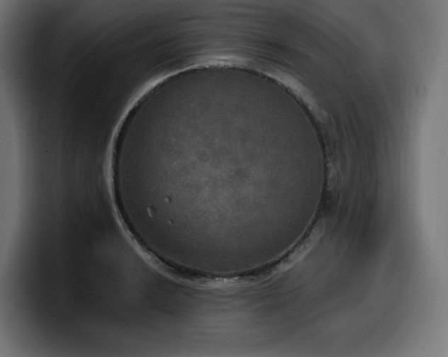 X0000100501038200806131432