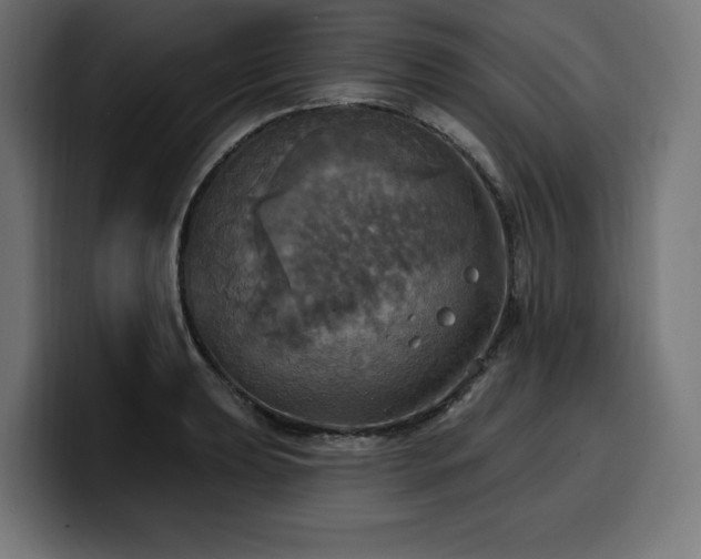 X0000100501039200806131432