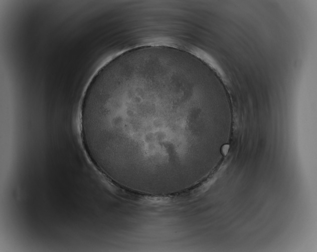 X0000100501040200806131432