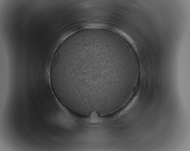 X0000100501041200806131432