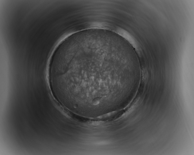 X0000100501043200806131432