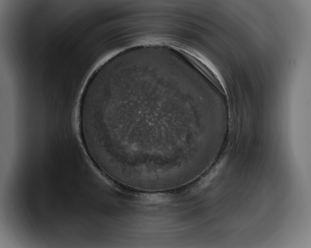 X0000100501045200806131432