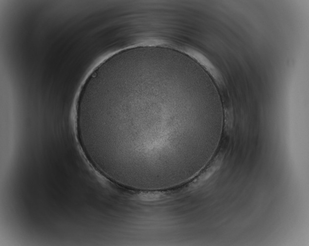 X0000100501046200806131432