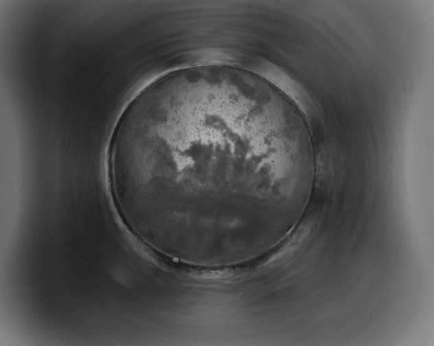 X0000100501047200806131432