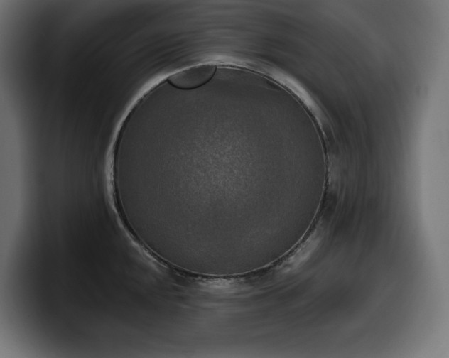 X0000100501048200806131432