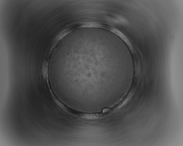 X0000100501049200806131432