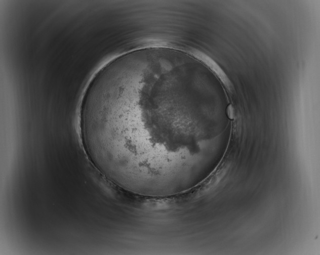 X0000100501051200806131432