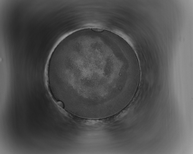 X0000100501056200806131432