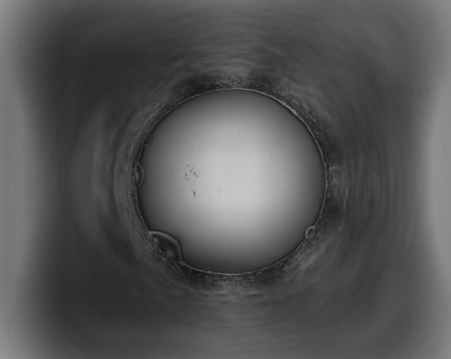 X0000100501057200806131432