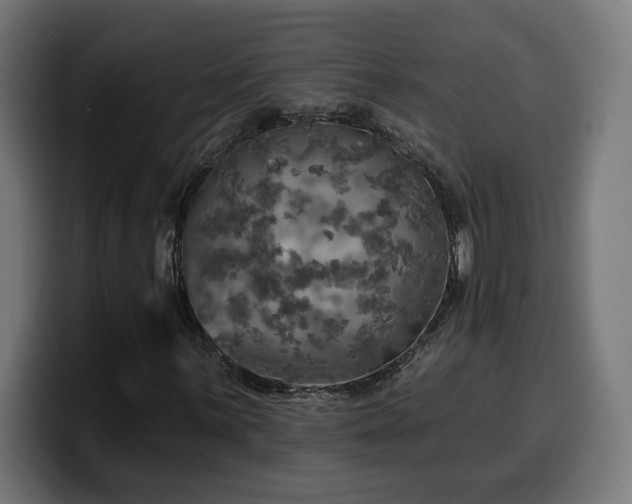 X0000100501059200806131432