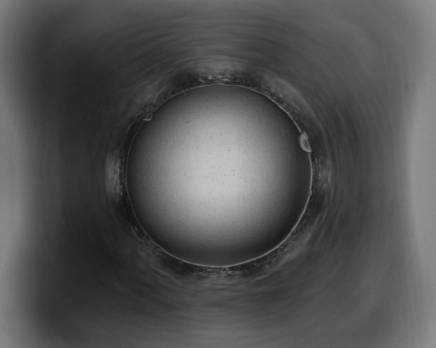 X0000100501060200806131432