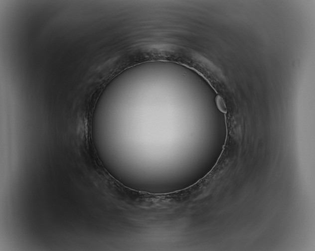 X0000100501061200806131432