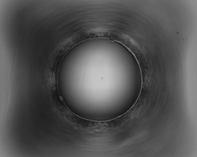 X0000100501062200806131432