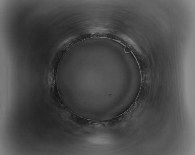 X0000100501063200806131432