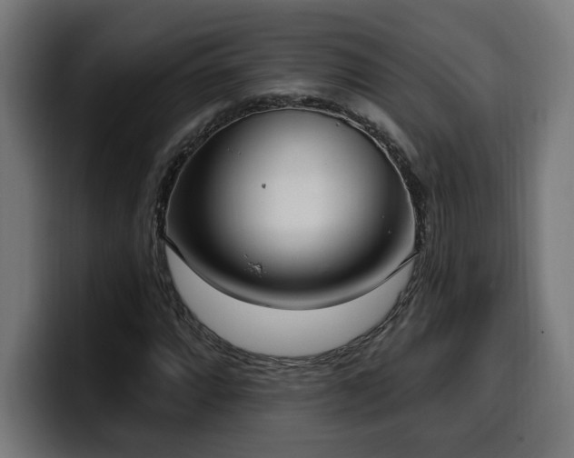 X0000100501064200806131432