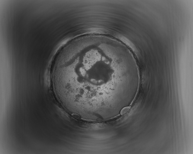 X0000100501067200806131432