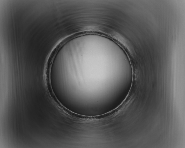 X0000100501068200806131432