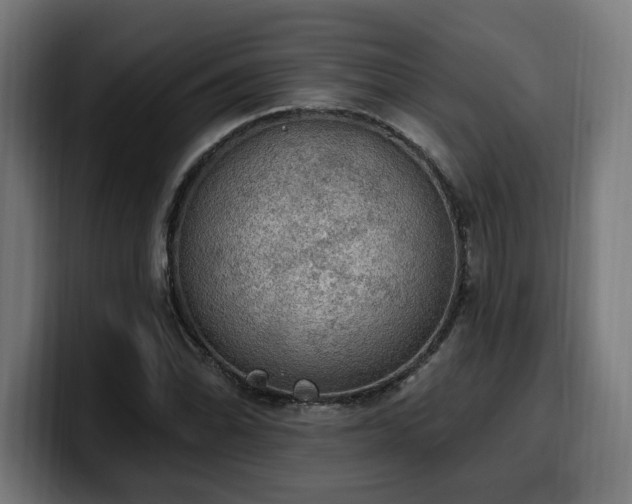 X0000100501070200806131432