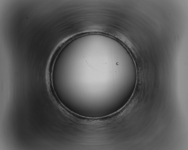 X0000100501072200806131432