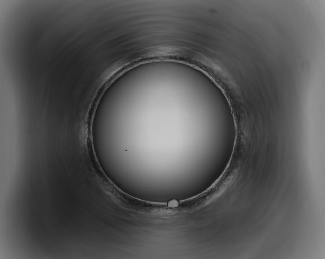 X0000100501073200806131432