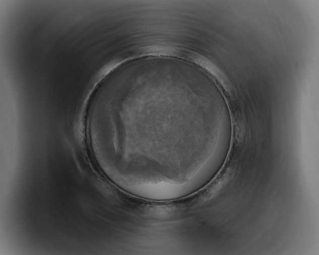 X0000100501074200806131432