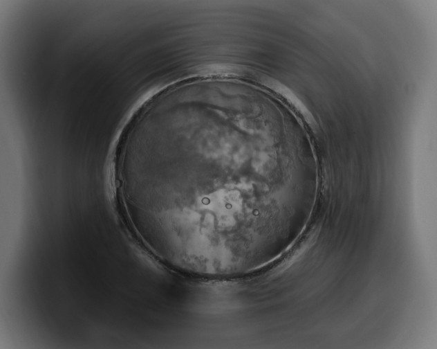 X0000100501075200806131432