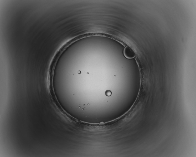 X0000100501076200806131432