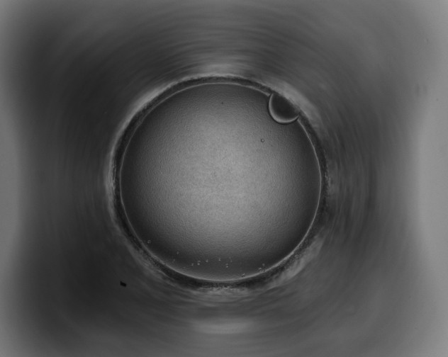 X0000100501077200806131432